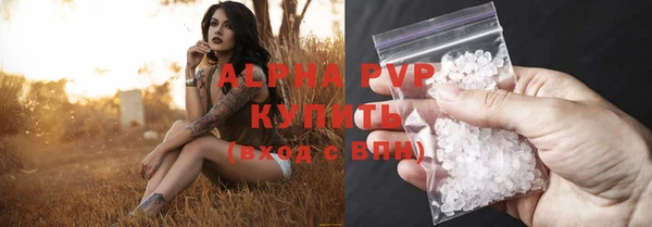 амф Беломорск