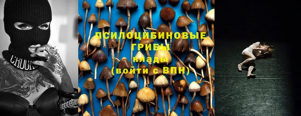 амф Беломорск