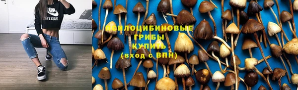 тгк Белокуриха